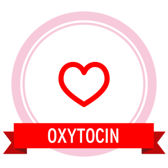 2f4146f5a10c50b2a279159bc5ec4c4d Badge icon